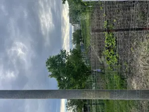 Vând teren intravilan Dorohoi