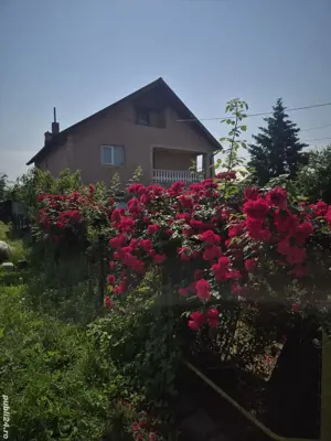 Casa de vanzare titu Dâmbovița 