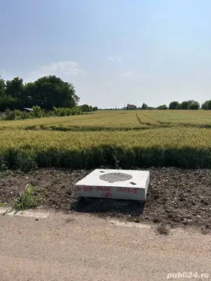 Teren de Vanzare, Grădiștea, sat Sitaru 3200 mp, parcelabil (toate utilitatile) - imagine 7