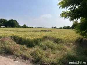 Teren de Vanzare, Grădiștea, sat Sitaru 3200 mp, parcelabil (toate utilitatile) - imagine 5