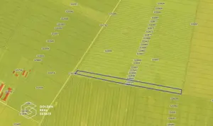 Teren agricol, 14 630 mp, Vladimirescu, ZERO COMISION - imagine 2