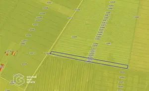 Teren agricol, 14 630 mp, Vladimirescu, ZERO COMISION