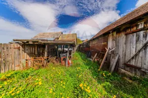 Casă cu teren 4500mp de vanzare in Carand Jud. Arad 0%Comision - imagine 19