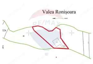 Afacere la cheie în creșterea porcinelor – Rona de Jos