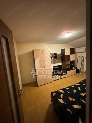 Apartament cu 1 camera de inchiriat, zona Dambovita, Timisoara