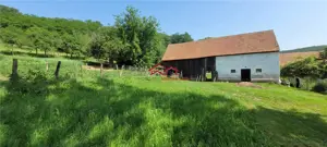 casa sat Sangatin, jud.Sibiu, cu teren1.93 Ha,comision 0 - imagine 17