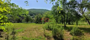 casa sat Sangatin, jud.Sibiu, cu teren1.93 Ha,comision 0 - imagine 16