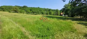 casa sat Sangatin, jud.Sibiu, cu teren1.93 Ha,comision 0 - imagine 18