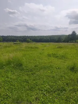 Casa + teren 2600mp, zona Horodnic de Sus, Radauti - imagine 17