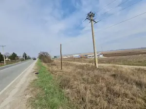 Teren in suprafata de 8514 mp Albota, zona industriala - langa VSC - imagine 9