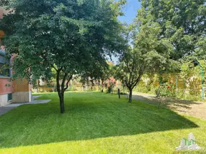 SUPER PROPIETATE, vila 709 mp construiti, teren 1213 mp, cu piscina si garaj, la PADUREA ROSU - imagine 5