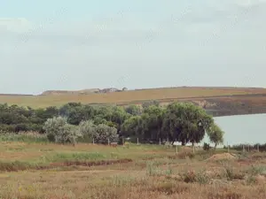 Teren extravilan Năvodari Limba Oii - imagine 5