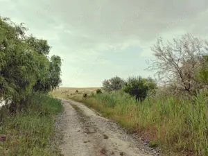 Teren extravilan Năvodari Limba Oii - imagine 3