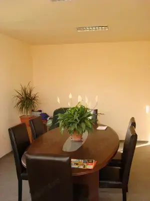 2 Hale cu dotari, afacere cu clienti, birouri-vestiare, teren, E60, Tileagd BH, - imagine 5