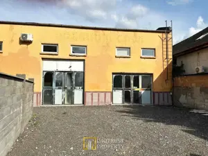 Hala industriala de inchiriat – Arad, Strada Padurii