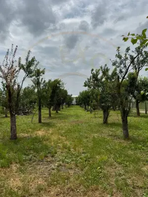 Teren Intravilan - Str. Gorganu - 1268 mp!