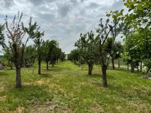 Teren Intravilan - Str. Gorganu - 1268 mp! - imagine 4