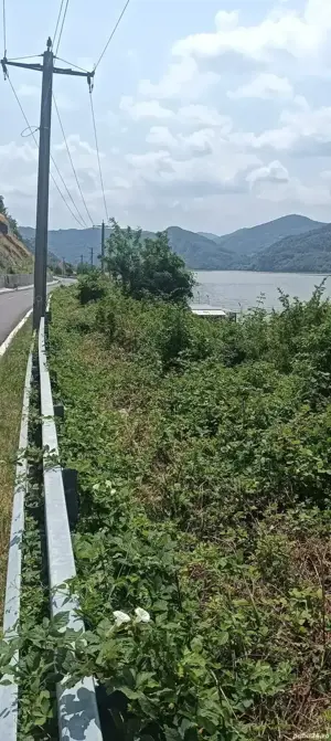 Vand Urgent!-teren (2 parcele) la Dunare Svinita 