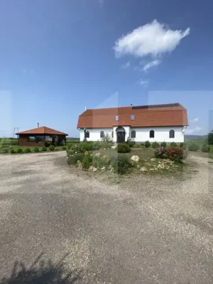 Conac de vânzare 7 camere, baie proprie, cramă, ciubăr și potențial  - imagine 2