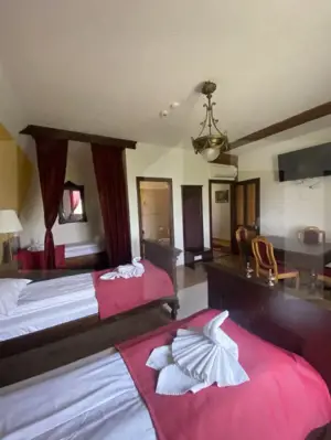 Conac de vânzare 7 camere, baie proprie, cramă, ciubăr și potențial  - imagine 17