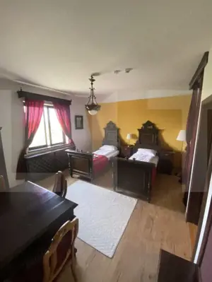 Conac de vânzare 7 camere, baie proprie, cramă, ciubăr și potențial  - imagine 19