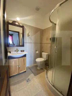 Conac de vânzare 7 camere, baie proprie, cramă, ciubăr și potențial  - imagine 15