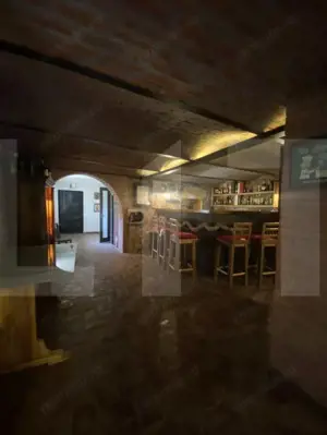 Conac de vânzare 7 camere, baie proprie, cramă, ciubăr și potențial  - imagine 12