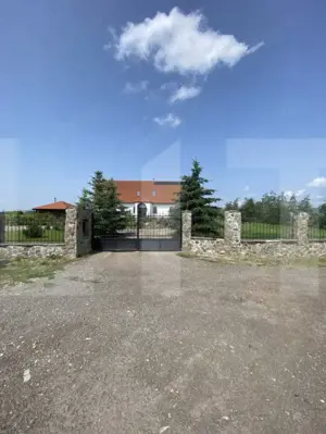 Conac de vânzare 7 camere, baie proprie, cramă, ciubăr și potențial  - imagine 3