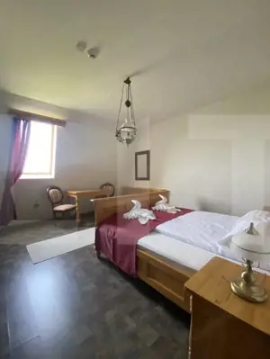 Conac de vânzare 7 camere, baie proprie, cramă, ciubăr și potențial  - imagine 10