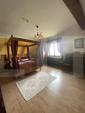 Conac de vânzare 7 camere, baie proprie, cramă, ciubăr și potențial  - imagine 14