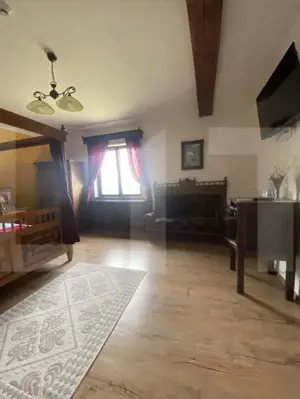 Conac de vânzare 7 camere, baie proprie, cramă, ciubăr și potențial  - imagine 11