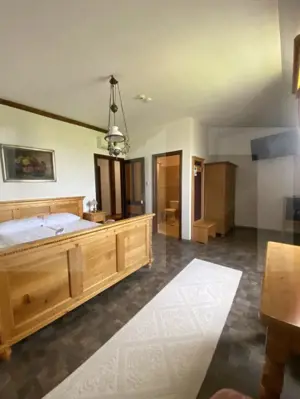 Conac de vânzare 7 camere, baie proprie, cramă, ciubăr și potențial  - imagine 9
