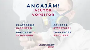 Ajutor de vopsitor- fara experienta (2 schimburi)