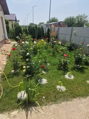  casa Mihailesti-Popesti str Doctorasului, vanzare-schimb apartament 2 camere sect 4 - imagine 9