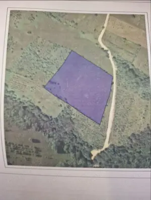 Vand teren zona de munte Podeni Mehedinti 1.60 euro m.