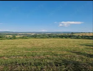 Vand teren zona de munte Podeni Mehedinti 1.60 euro m. - imagine 3