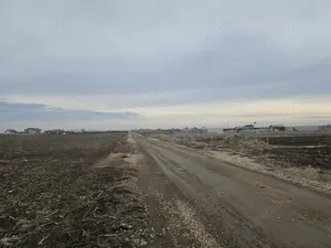 Teren intravilan 317 mp Comuna Berceni - imagine 3