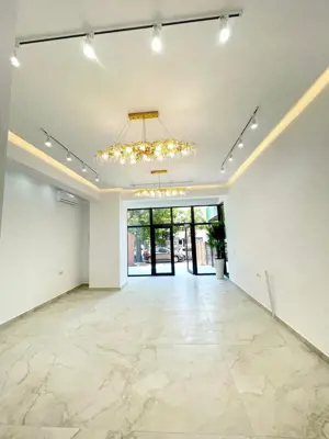 Colentina sp P+E1 250 mp