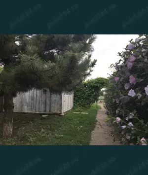 Teren de vânzare 2400m,magazin mixt + stație GPL,  funcționale,autorizații la zi,Perișoru,CL - imagine 4