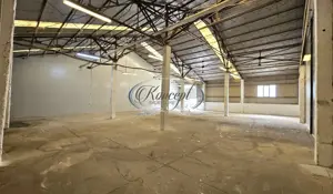 Hale 200-400-1.000 mp, productie, depozitare, logistica - imagine 10