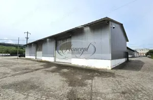 Hale 200-400-1.000 mp, productie, depozitare, logistica - imagine 5