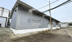 Hale 200-400-1.000 mp, productie, depozitare, logistica - imagine 13