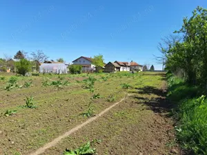 Casa Teren   comuna Smeeni BZ   teren 2878mp   Pret: 40.000   Tip imobil: Casa    teren  - imagine 6