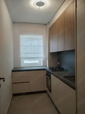 Vulcan Residence, 3 camere - imagine 7