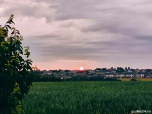 Teren extravilan Miroslava (livada) - imagine 3