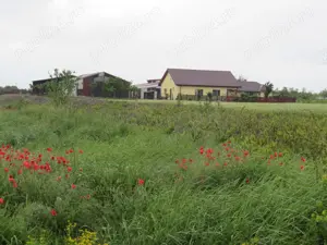 Inchiriere hale - imagine 6