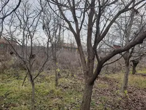 Casa batraneasca de vanzare - imagine 8