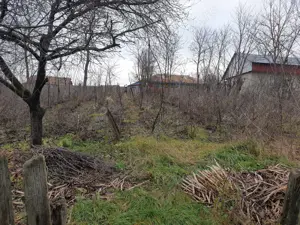 Casa batraneasca de vanzare - imagine 9