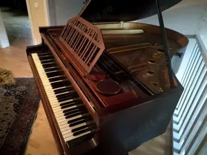 Vând pian dezasamblat - imagine 2