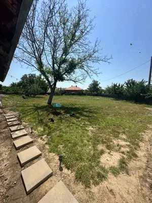 Teren intravilan de vânzare   1000 mp, Comuna Unirea, Călărași   lângă parc, cu pomi fructiferi, puț - imagine 4